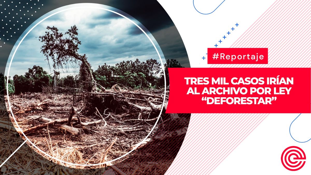 Tres mil casos irían al archivo por Ley “Deforestar”